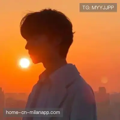 何鹰辉
